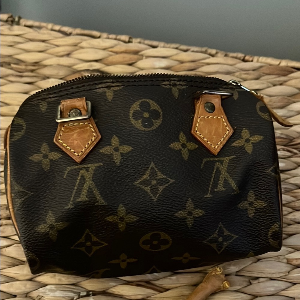 Louis Vuitton Monogram Brown and Tan Bag